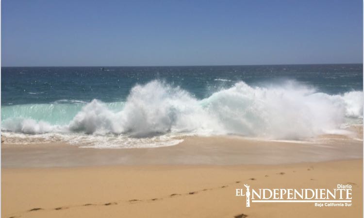 Sale Baja California Sur (BCS) de alerta por Tsunami; Oaxaca y Guerrero siguen en alerta Sale Baja California Sur (BCS) de alerta por Tsunami; Oaxaca y Guerrero siguen en alerta
