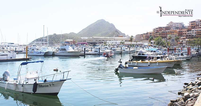 Recibirá puerto de Cabo San Lucas (CSL) 10 arribos en septiembre para dar paso a la temporada alta Recibirá puerto de Cabo San Lucas (CSL) 10 arribos en septiembre para dar paso a la temporada alta