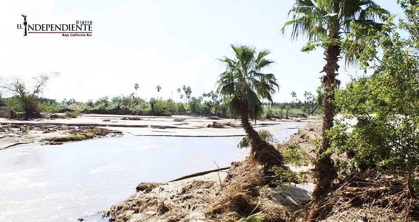 A través de un PET de Semarnat buscan rehabilitar el estero josefino A través de un PET de Semarnat buscan rehabilitar el estero josefino