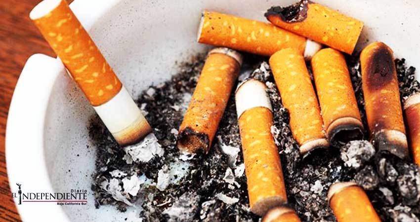 Presumen a Baja California Sur (BCS) como uno de los 11 estados “libres de humo de tabaco” Presumen a Baja California Sur (BCS) como uno de los 11 estados “libres de humo de tabaco”