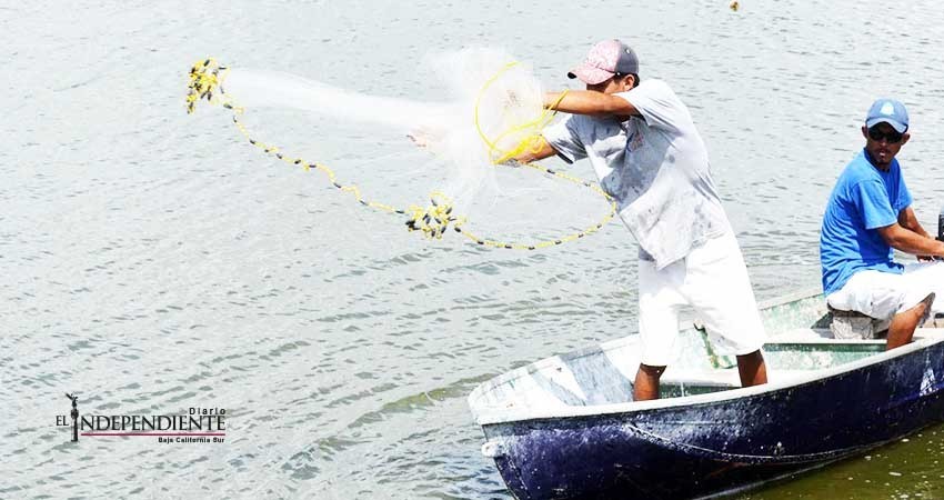 Se paralizaron 1,000 embarcaciones menores por “Norma”: API