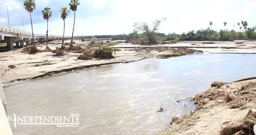 Lunes fecha límite para entregar documento para considerar al estero dentro de Fonden