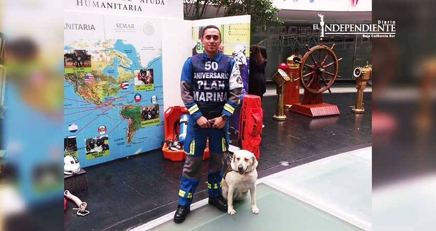 Ella es “Frida”, pieza clave en los sismos de Oaxaca y CDMX Ella es “Frida”, pieza clave en los sismos de Oaxaca y CDMX