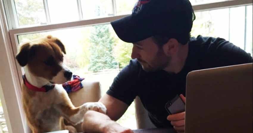 El 'Capitán América' se asombra del valor de 'Frida'