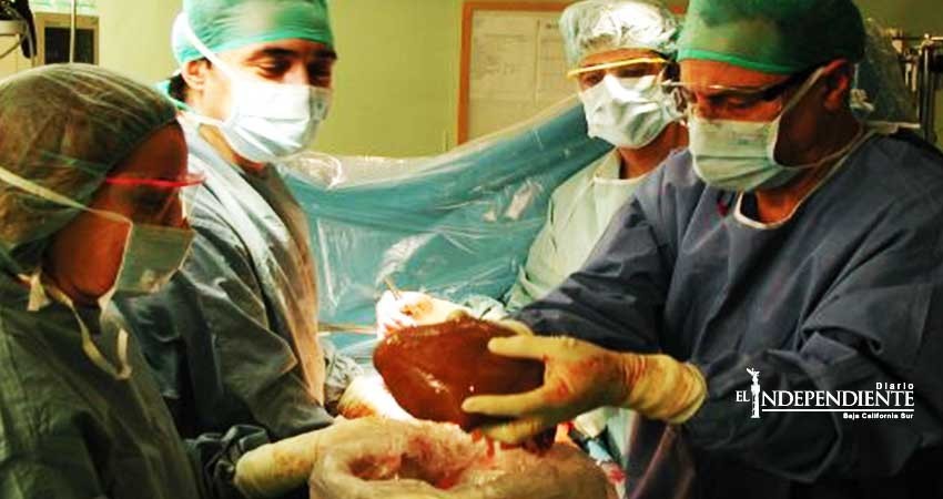 IMSS La Paz ha logrado 69 trasplantes de riñón IMSS La Paz ha logrado 69 trasplantes de riñón