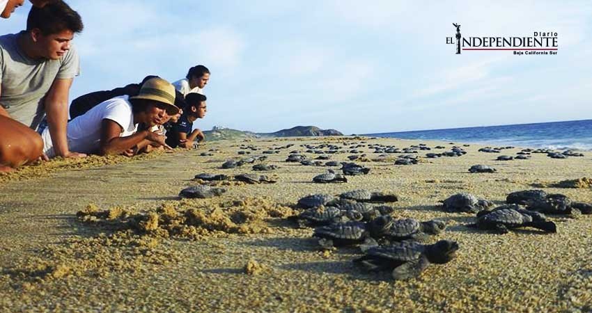 Firmarán 21 organizaciones la Alianza Comunidad Sustentable de La Paz