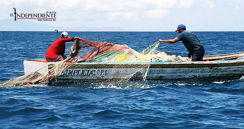 Se han detenido 20 embarcaciones por pesca ilegal en BCS durante este 2017