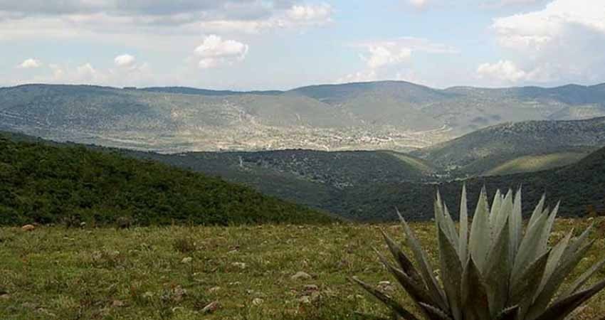 Se llevó a cabo en Oaxaca el primer Congreso Nacional del Agave