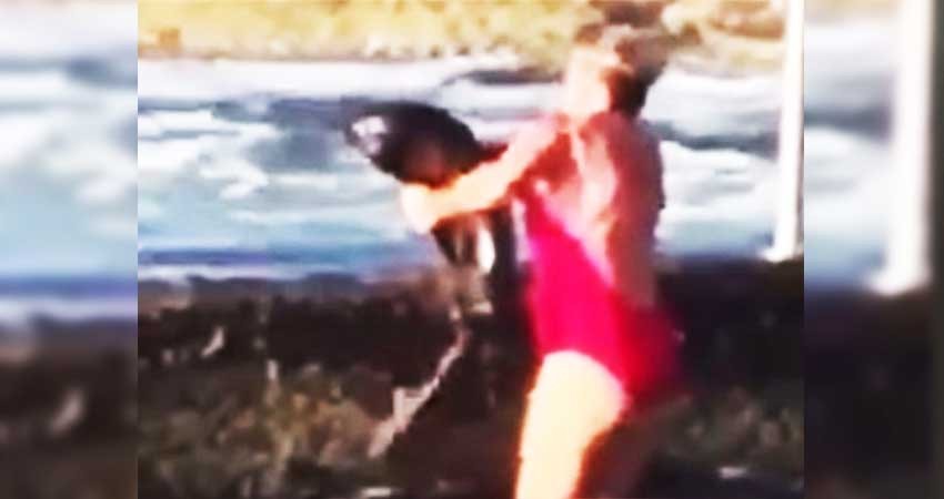 Con sus propias manos, mujer devuelve a un tiburón al mar Con sus propias manos, mujer devuelve a un tiburón al mar