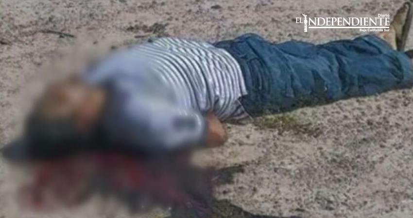 8 muertos, 3 heridos entre ellos una menor de edad, saldo de la violencia en La Paz y Los Cabos