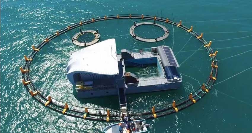 Listas instalaciones marítimas del santuario de la vaquita marina Listas instalaciones marítimas del santuario de la vaquita marina