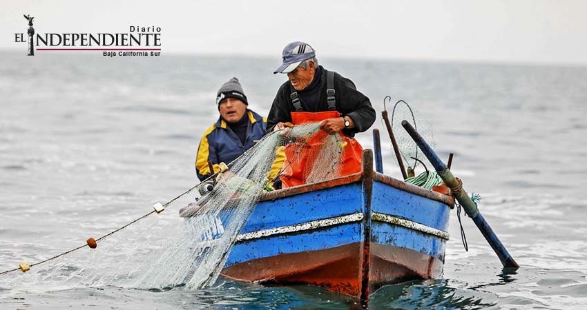 En 2017 se han sancionado a cerca de 400 pescadores en BCS