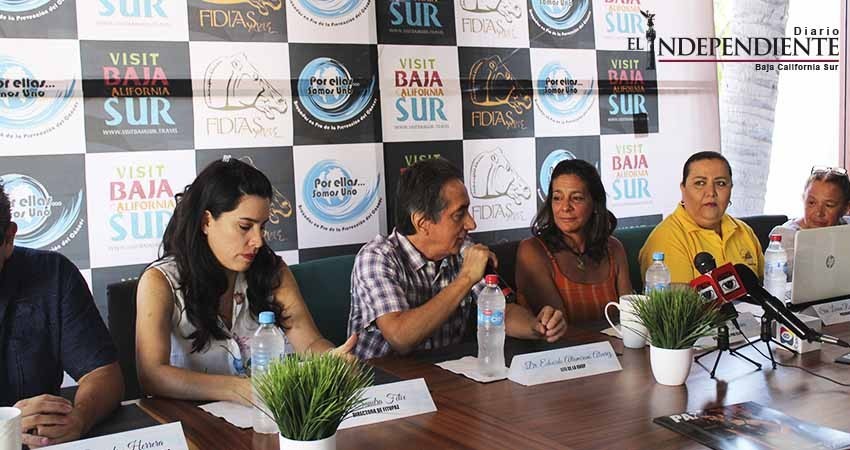 Presentan el evento atlético Por Ellas… brazadas en pro de la prevención del cáncer