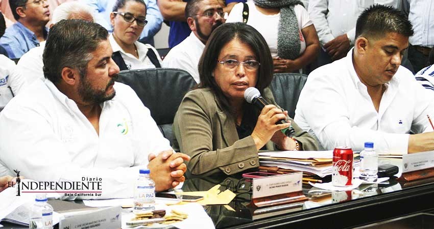 El XV Ayuntamiento de La Paz quedará a deber al ciudadano, reconoce regidora El XV Ayuntamiento de La Paz quedará a deber al ciudadano, reconoce regidora