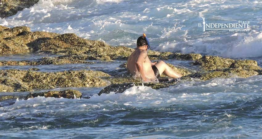 En los últimos 15 días guardavidas de Zofemat Los Cabos realizan 4 salvamentos En los últimos 15 días guardavidas de Zofemat Los Cabos realizan 4 salvamentos