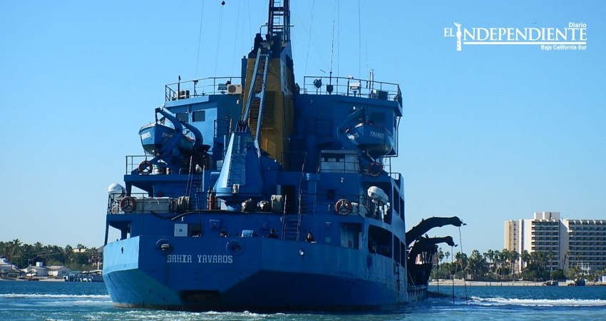 Avala Profepa dragado en la bahía de La Paz, “no hay varamientos de tortugas” afirman Avala Profepa dragado en la bahía de La Paz, “no hay varamientos de tortugas” afirman