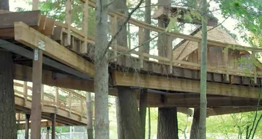¿Por qué Microsoft está construyendo casitas del árbol? ¿Por qué Microsoft está construyendo casitas del árbol?