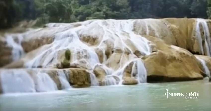 Cascadas de Agua Azul volverán a la normalidad en 20 días: Conagua Cascadas de Agua Azul volverán a la normalidad en 20 días: Conagua