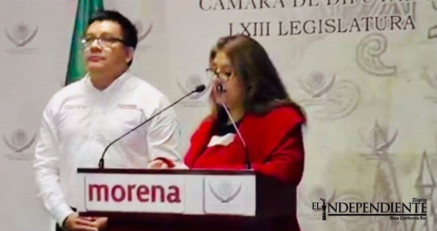Desde el Congreso de la Unión pide Morena que Mendoza Davis renuncie al cargo Desde el Congreso de la Unión pide Morena que Mendoza Davis renuncie al cargo