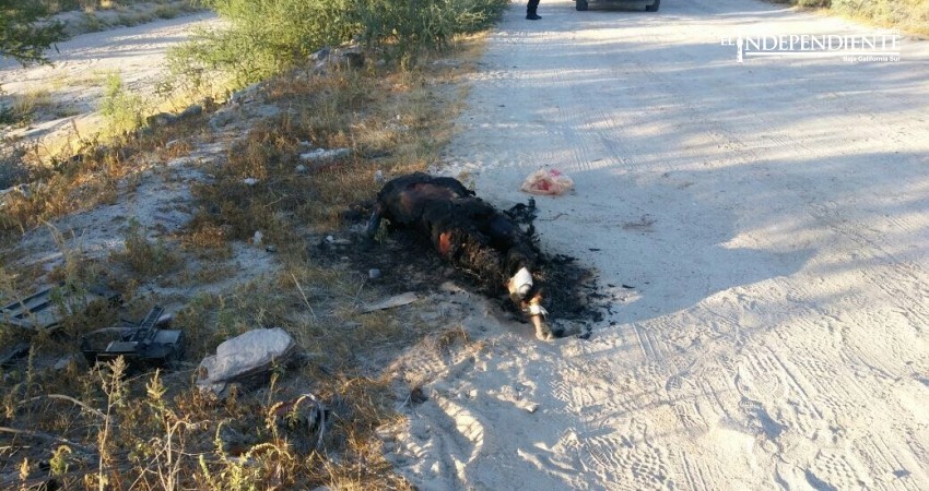 Localizan un cuerpo decapitado e incinerado a un costado del GUM Localizan un cuerpo decapitado e incinerado a un costado del GUM