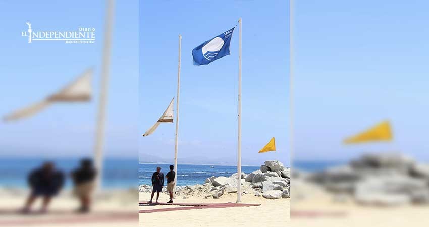 Los Cabos planea certificar 8 playas más en 2018 Los Cabos planea certificar 8 playas más en 2018