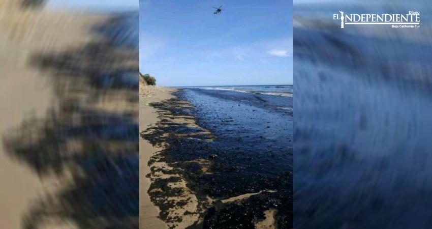 Mancha en playas del este, corresponde a un fenómeno natural: Dirección de Ecología Mancha en playas del este, corresponde a un fenómeno natural: Dirección de Ecología