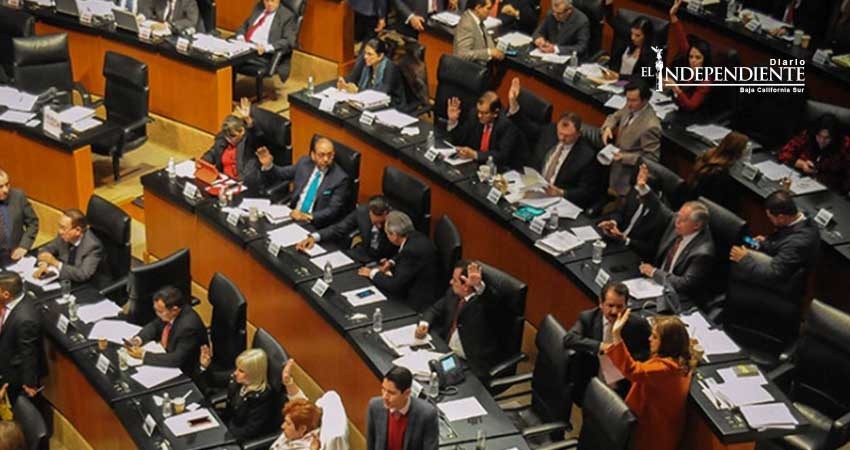 Senado aprueba nombramiento de ocho magistrados electorales Senado aprueba nombramiento de ocho magistrados electorales