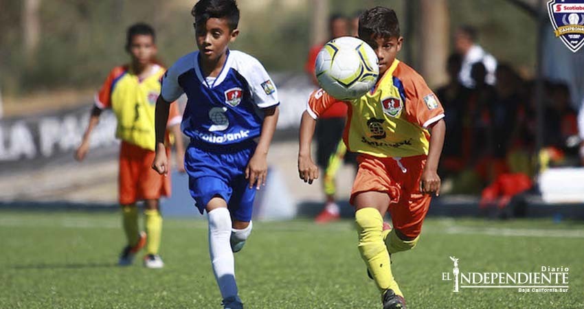 Se jugará en La Paz el Estatal de Futbol SUB 10 Se jugará en La Paz el Estatal de Futbol SUB 10