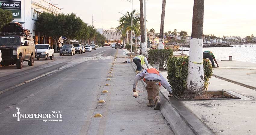 El 2 de enero continuarán los trabajos para acabado del malecón El 2 de enero continuarán los trabajos para acabado del malecón