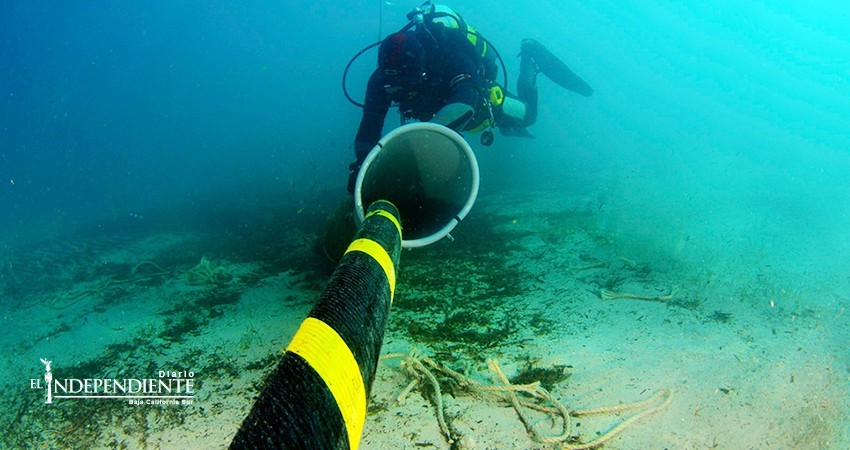 En enero se publicarán bases para licitar construcción de cable submarino para BCS En enero se publicarán bases para licitar construcción de cable submarino para BCS