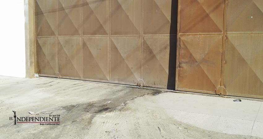 Denuncian constantes olores fétidos del patio de carga de Soriana Forjadores Denuncian constantes olores fétidos del patio de carga de Soriana Forjadores