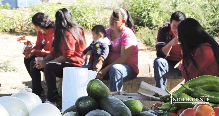 En 12 años las mujeres siguen sin tener oportunidades en BCS En 12 años las mujeres siguen sin tener oportunidades en BCS
