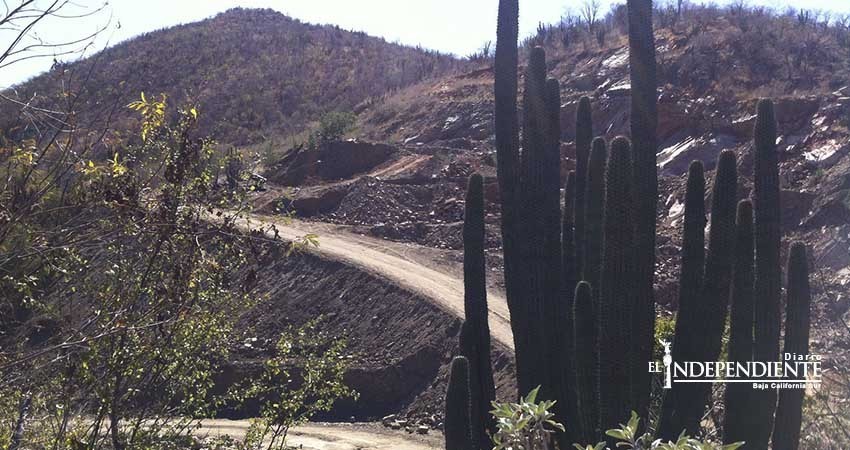 Avanza amparo en tribunal federal promovido por Los Cardones