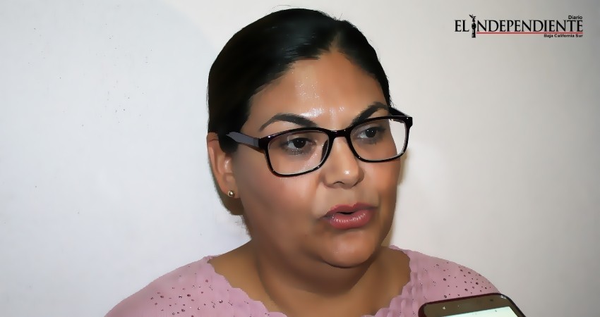 Ilegal que aspirantes a candidaturas independientes paguen por recibir apoyo: IEE