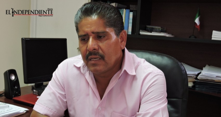 Con modificación en alerta de EE.UU. sobre BCS el gobierno tiene un compromiso más fuerte: Panal Con modificación en alerta de EE.UU. sobre BCS el gobierno tiene un compromiso más fuerte: Panal