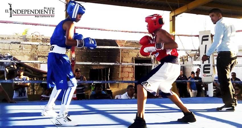 Listo el Selectivo de Box de Los Cabos para el estatal Listo el Selectivo de Box de Los Cabos para el estatal