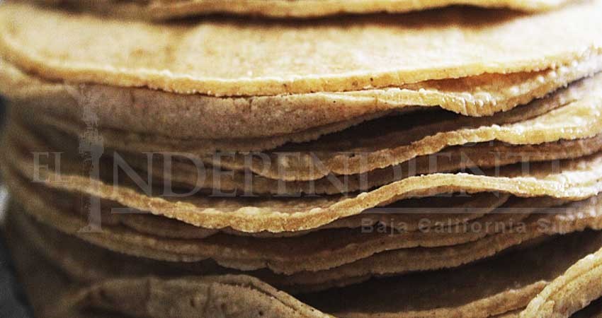 Empresario de la industria de la masa y la tortilla asegura vendrá un ajuste a precios en marzo