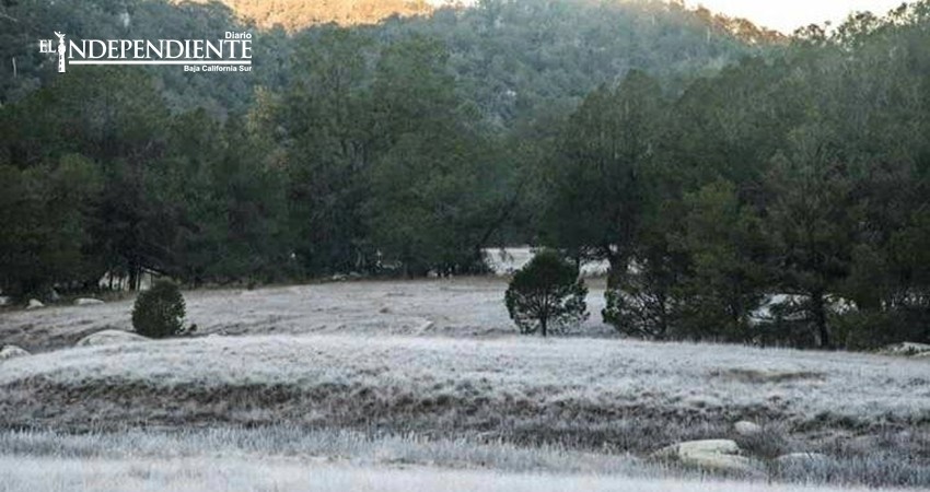Hasta 2 grados bajo cero alcanzan temperaturas en la Sierra de la Laguna