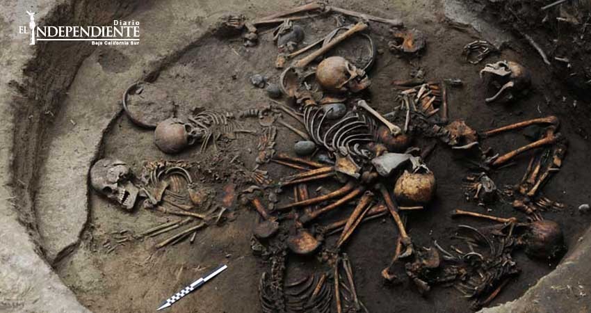 Hallan entierro múltiple con osamentas entrelazadas en Tlalpan