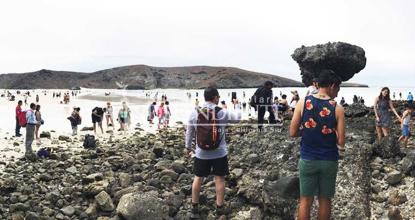 Sorprende la baja la marea en Playa Balandra