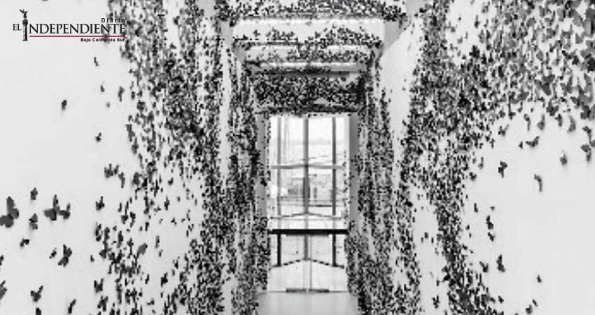 Carlos Amorales; marca regreso a lo emocional