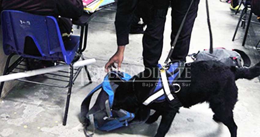 Bien Operativo Mochila si lo encabezan padres de familia, advierte APF Los Cabos