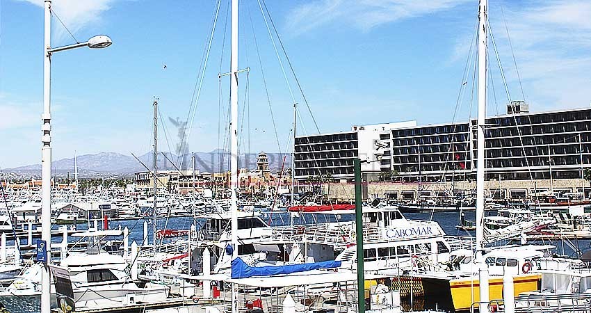 Anuncia Sectur crecimiento en los puertos del Pacifico Mexicano incluido CSL Anuncia Sectur crecimiento en los puertos del Pacifico Mexicano incluido CSL