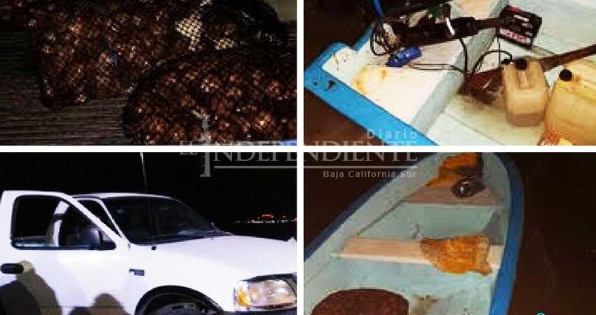 Decomisan inspectores de Conapesca 330 kilos de almeja extraída ilegalmente Decomisan inspectores de Conapesca 330 kilos de almeja extraída ilegalmente