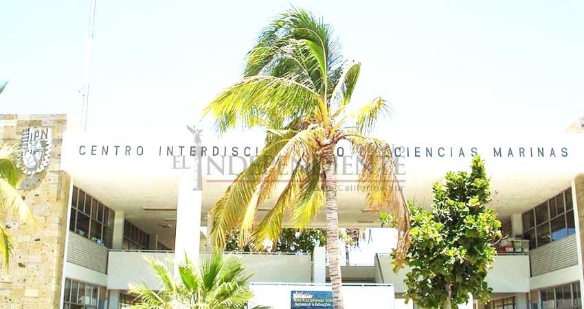 Piden homologados del Cicimar 20% de aumento en compensación para administrativos y 15% para docentes Piden homologados del Cicimar 20% de aumento en compensación para administrativos y 15% para docentes