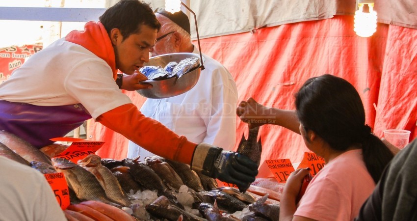 Arranca Coepris con verificaciones de Cuaresma en BCS