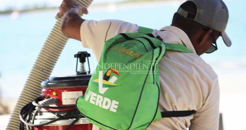 Cierra PVEM posibilidad de candidaturas comunes con el PRI Cierra PVEM posibilidad de candidaturas comunes con el PRI