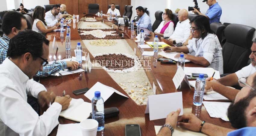 Consejo Asesor del Estero SJC, establece acciones a corto, mediano y largo plazo Consejo Asesor del Estero SJC, establece acciones a corto, mediano y largo plazo