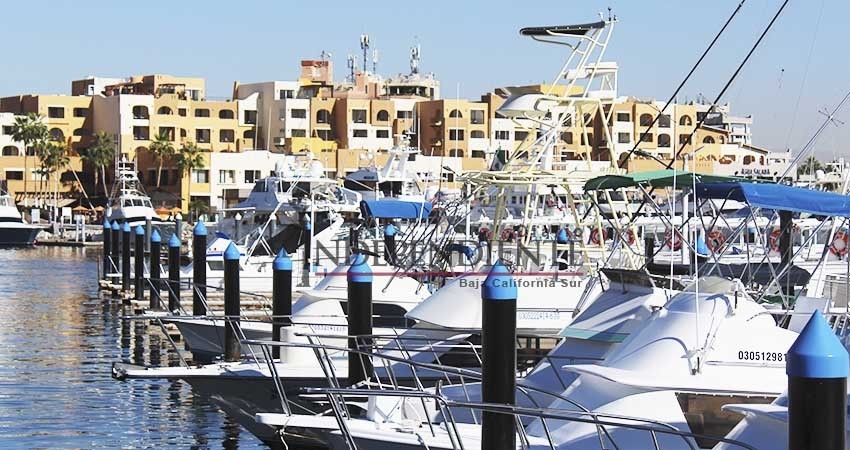 Refuerza seguridad recinto portuario de Cabo San Lucas para Semana Santa Refuerza seguridad recinto portuario de Cabo San Lucas para Semana Santa