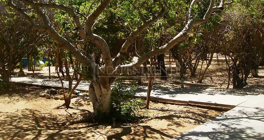 Zoológico de Santiago abre sus puertas como parque ecológico